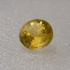 image4 (6) Yellow Sapphire H1